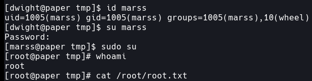 Root