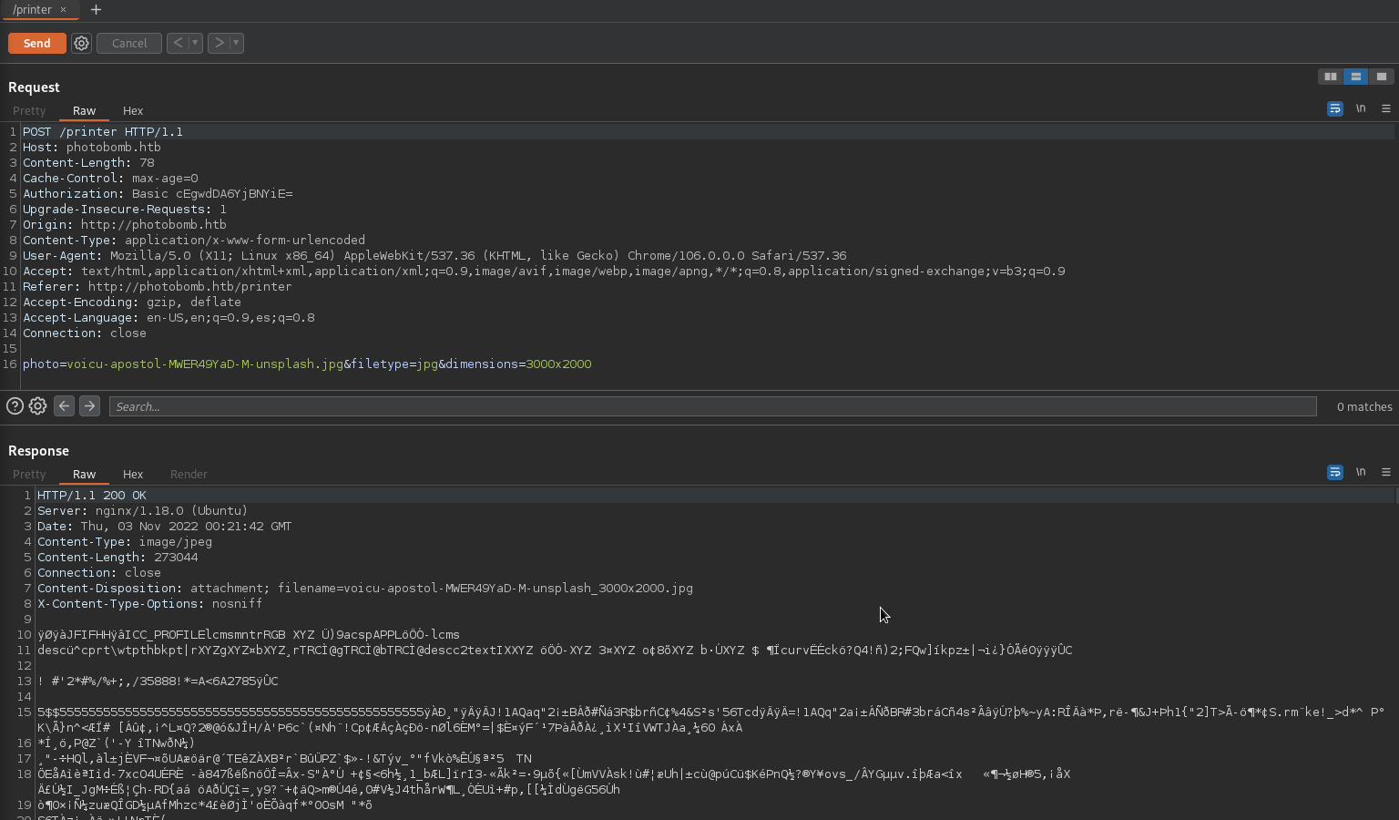 Photobomb.htb/printer_burpsuite